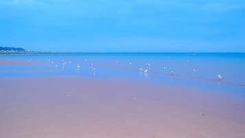 海滩
