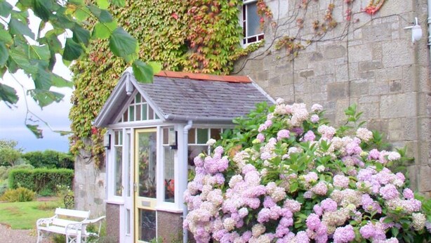 A stone building with a small glass conservatory, a bench, and a large bush of pink hydrangeas.