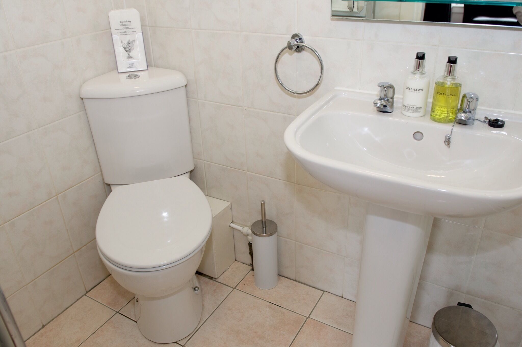 Une salle de bain équipée de toilettes, d’un bidet, d’un lavabo et de deux flacons de lotion.