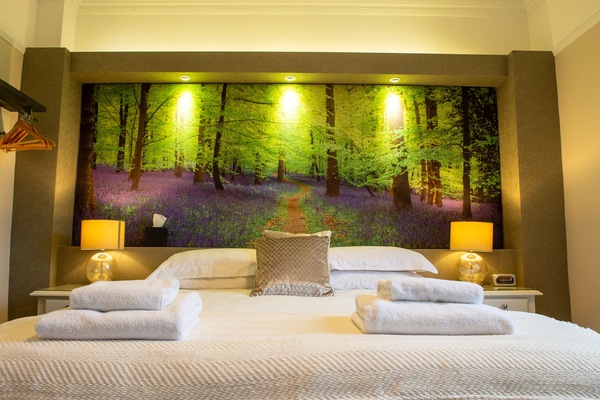 Superior Room | Individually decorated, individually furnished, blackout drapes