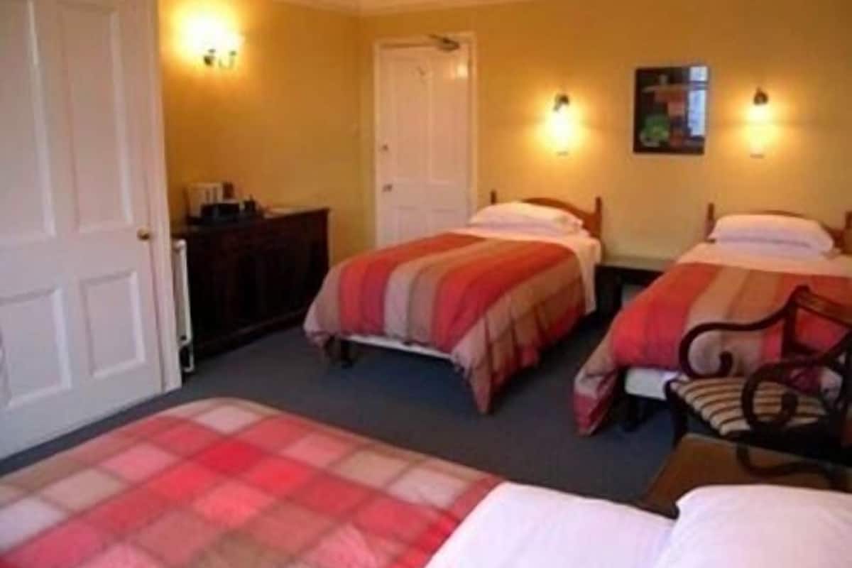Vierpersoonskamer, privébadkamer | Een strijkplank/strijkijzer, gratis wifi