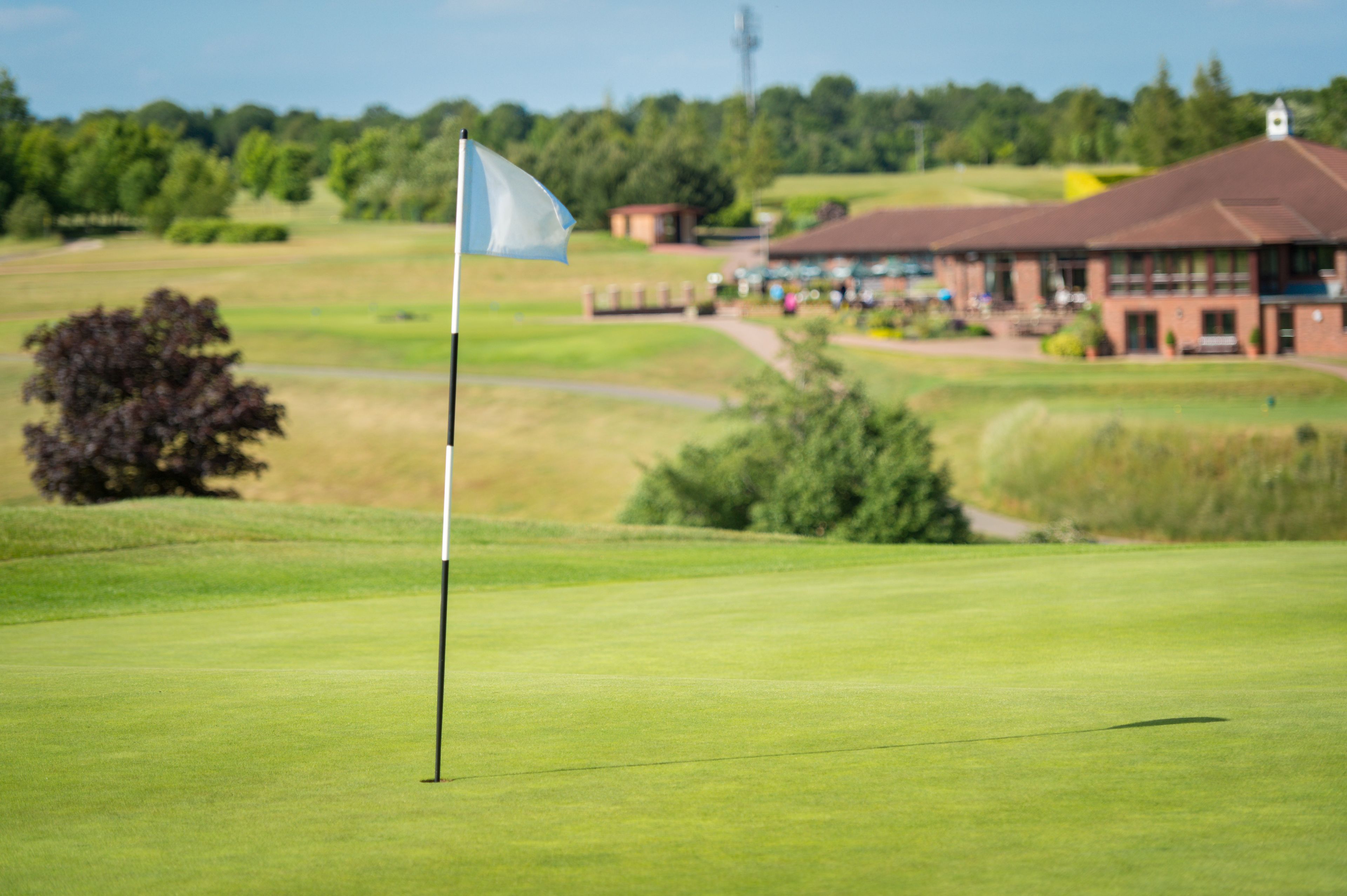 A golf course with a flagstick, a building with multiple windows, and a pathway leading to it.
