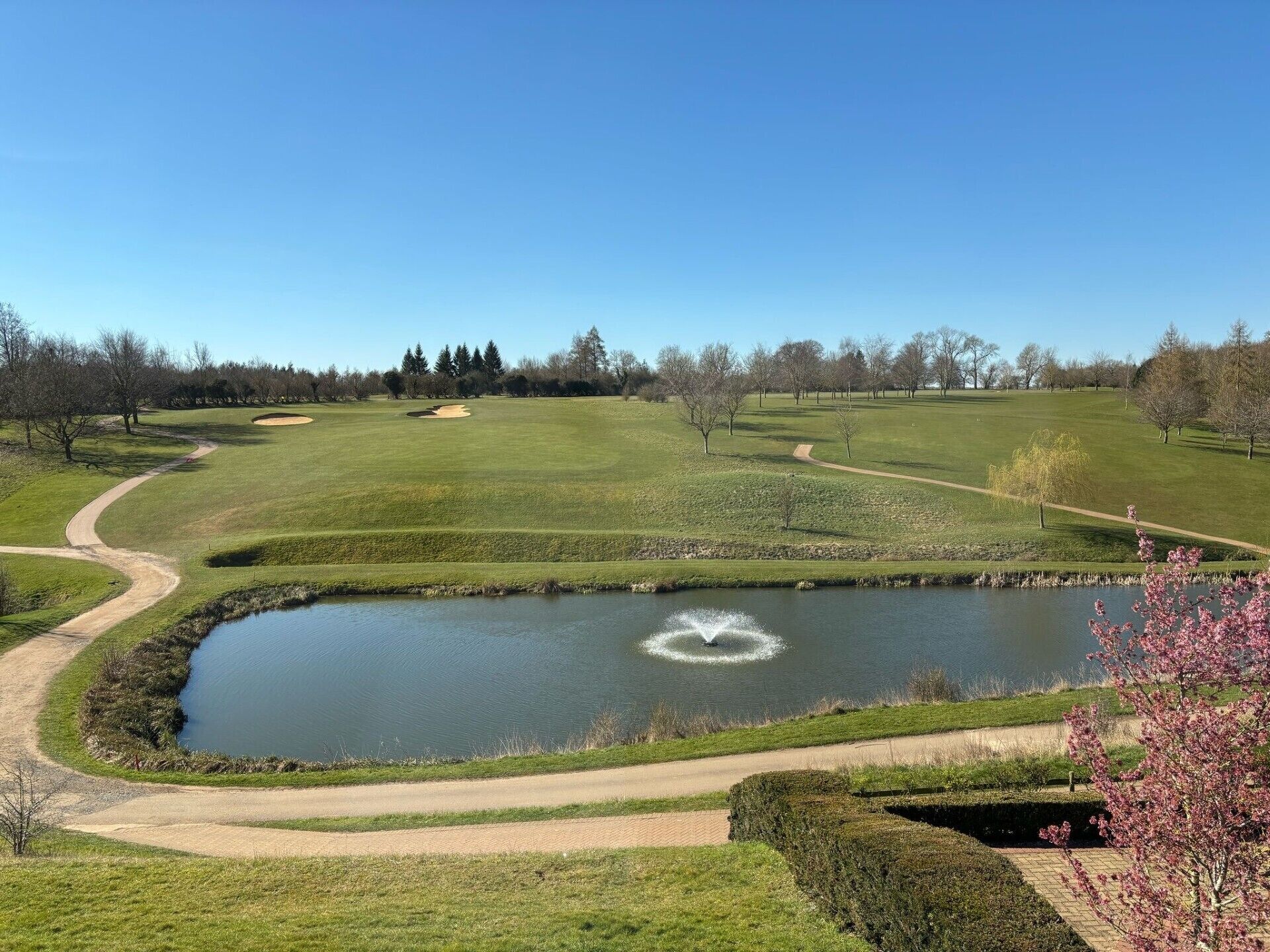 A golf course with a pond, a clear sky, and a path leading to the pond.