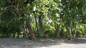 A sandy area with trees and a building in the background. - Hotel La Dolce Vita (Parrita)