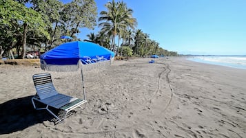 Di pantai, selancar angin, berselancar, dan mendayung