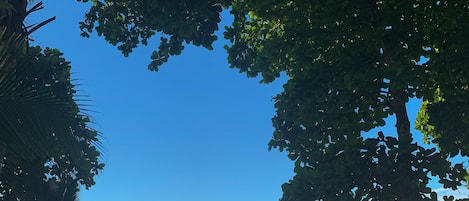 Panoramic Apartment, 1 Bedroom, Ocean View | Beach/ocean view