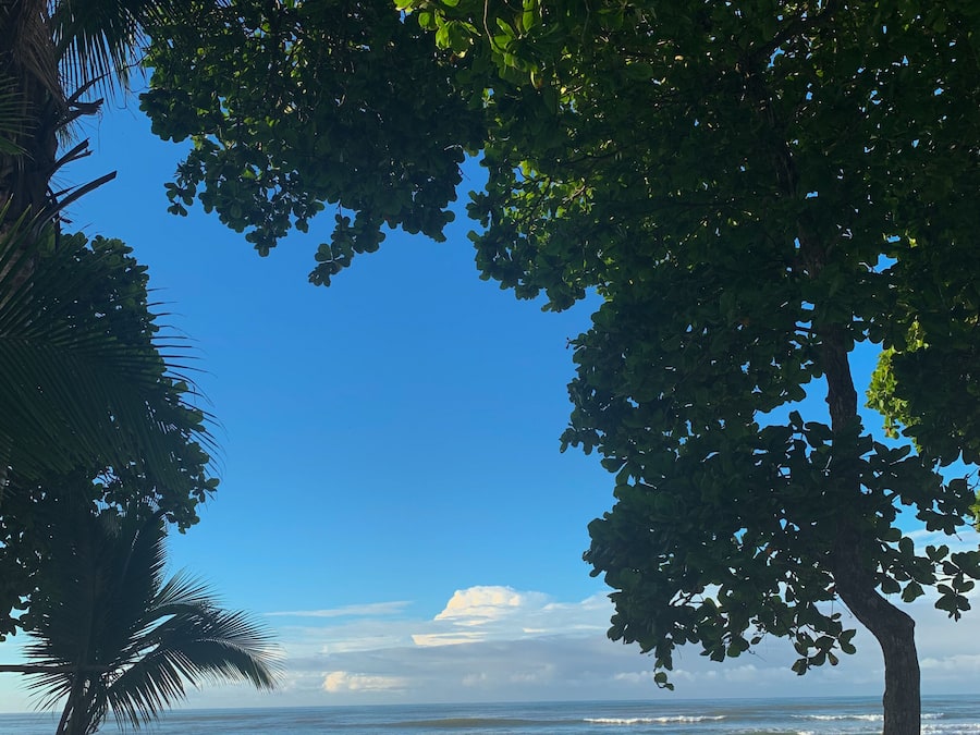 Panorama appartement, 1 slaapkamer, uitzicht op oceaan | Uitzicht op strand/zee