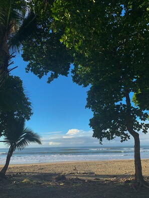 A beach with trees and the ocean. - Hotel La Dolce Vita (Parrita)