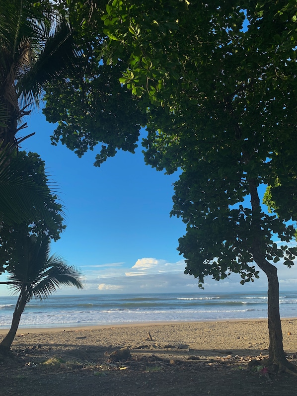 Departamento panorámico, 1 habitación, vista al océano | Vista a la playa o el mar