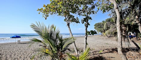 En la playa, windsurf, surf, bote de remos