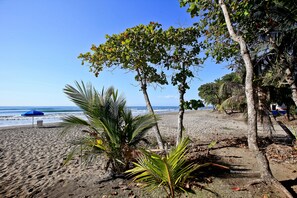 On the beach, windsurfing, surfing, rowing - Hotel La Dolce Vita (Parrita)