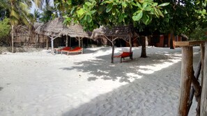 On the beach, white sand, sun loungers, beach towels - Twisted Palms Lodge & Restaurant (Bwejuu)