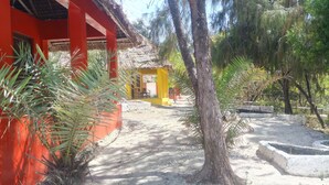 Property grounds - Twisted Palms Lodge & Restaurant (Bwejuu)