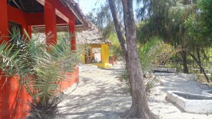 Property grounds - Twisted Palms Lodge & Restaurant (Bwejuu)