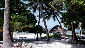 Trên bãi biển, cát trắng, ghế dài tắm nắng, khăn tắm biển 