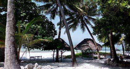 Twisted Palms Lodge & Restaurant
