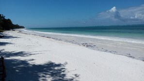 Beach - Twisted Palms Lodge & Restaurant (Bwejuu)