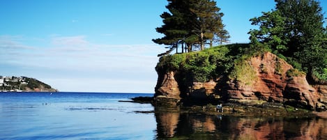 A coastal landscape with a rocky outcrop, trees, and calm water reflecting the surroundings.