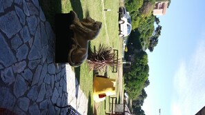 A stone pathway leading to a grassy area with a statue, a yellow bench, and a white car parked nearby. - San Remo Viking Hotel (Pinamar)