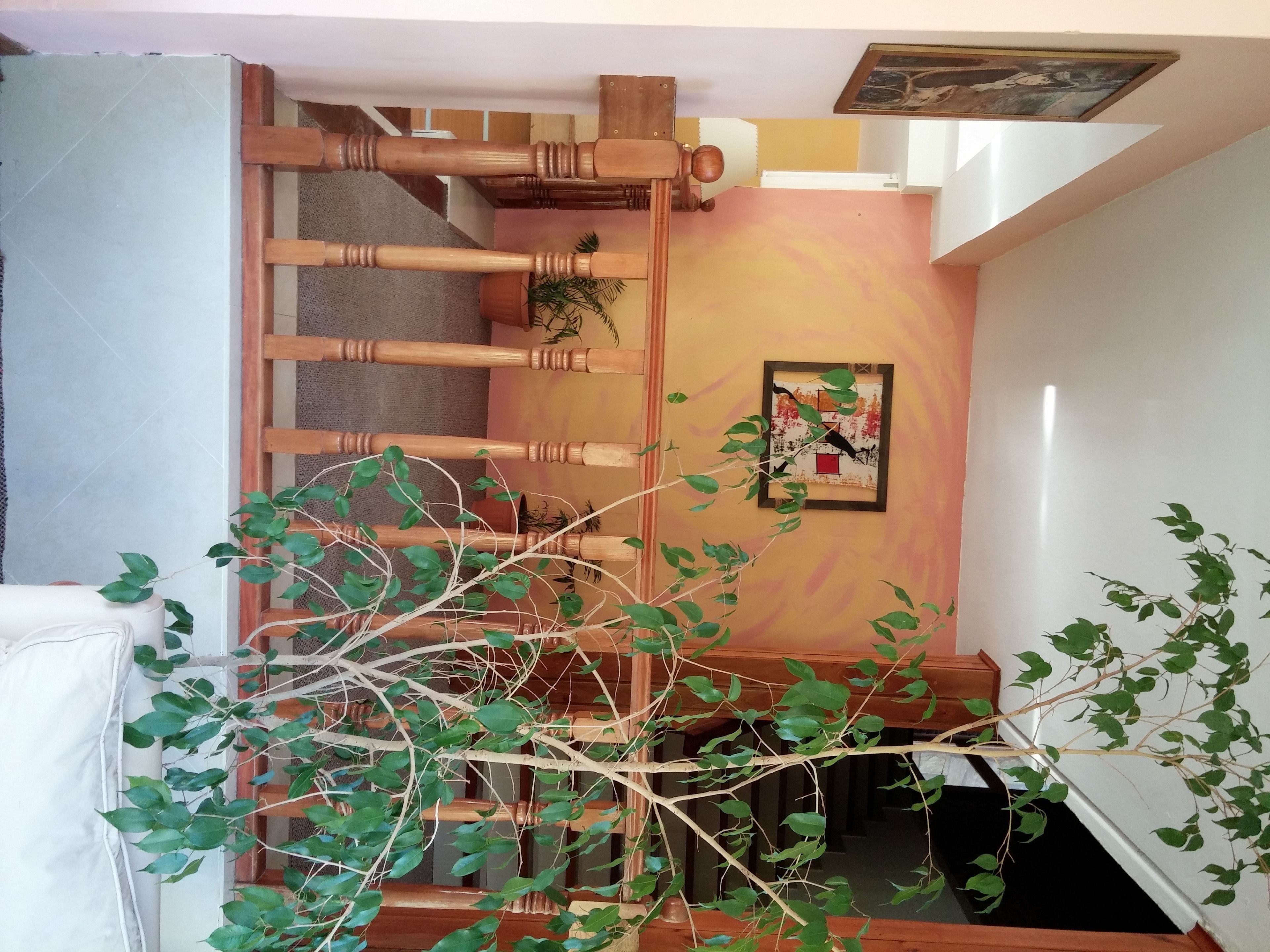 Photo - San Remo Viking Hotel