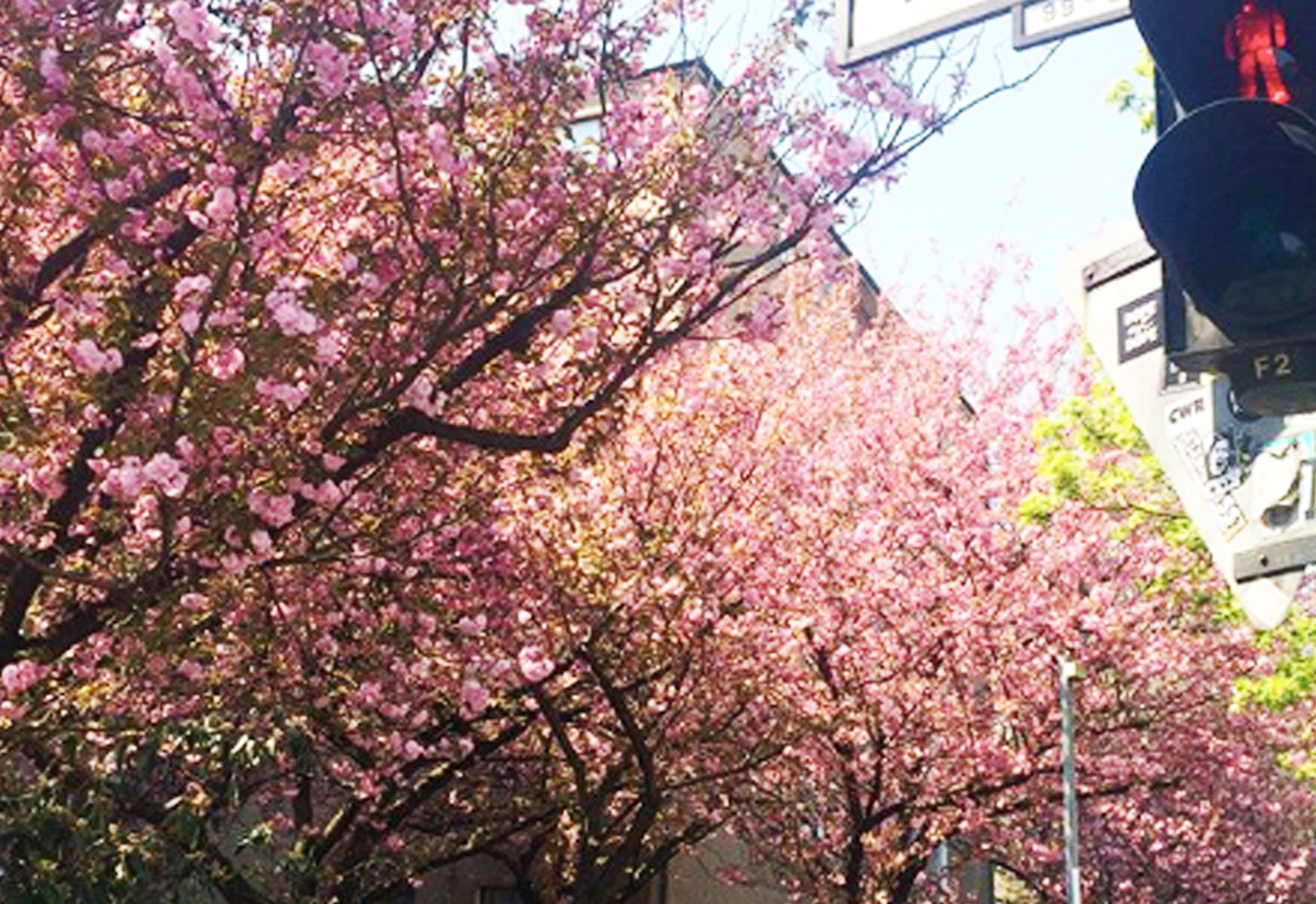 Foto - Amstel House Hostel