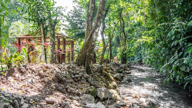 A natural outdoor setting with a wooden structure, surrounded by dense vegetation and a rocky stream. - Lavas del Arenal (Peñas Blancas)