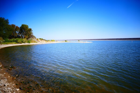 A clear view of a beach with calm water, a sandy shore, and trees in the background.