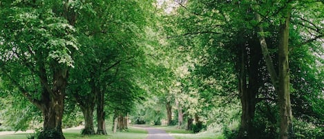 Parco della struttura