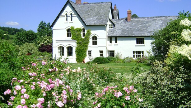 A large, white, two-story house with a steeply pitched roof, surrounded by lush gardens and flowering plants. - The Forest Country House B&B (Newtown)