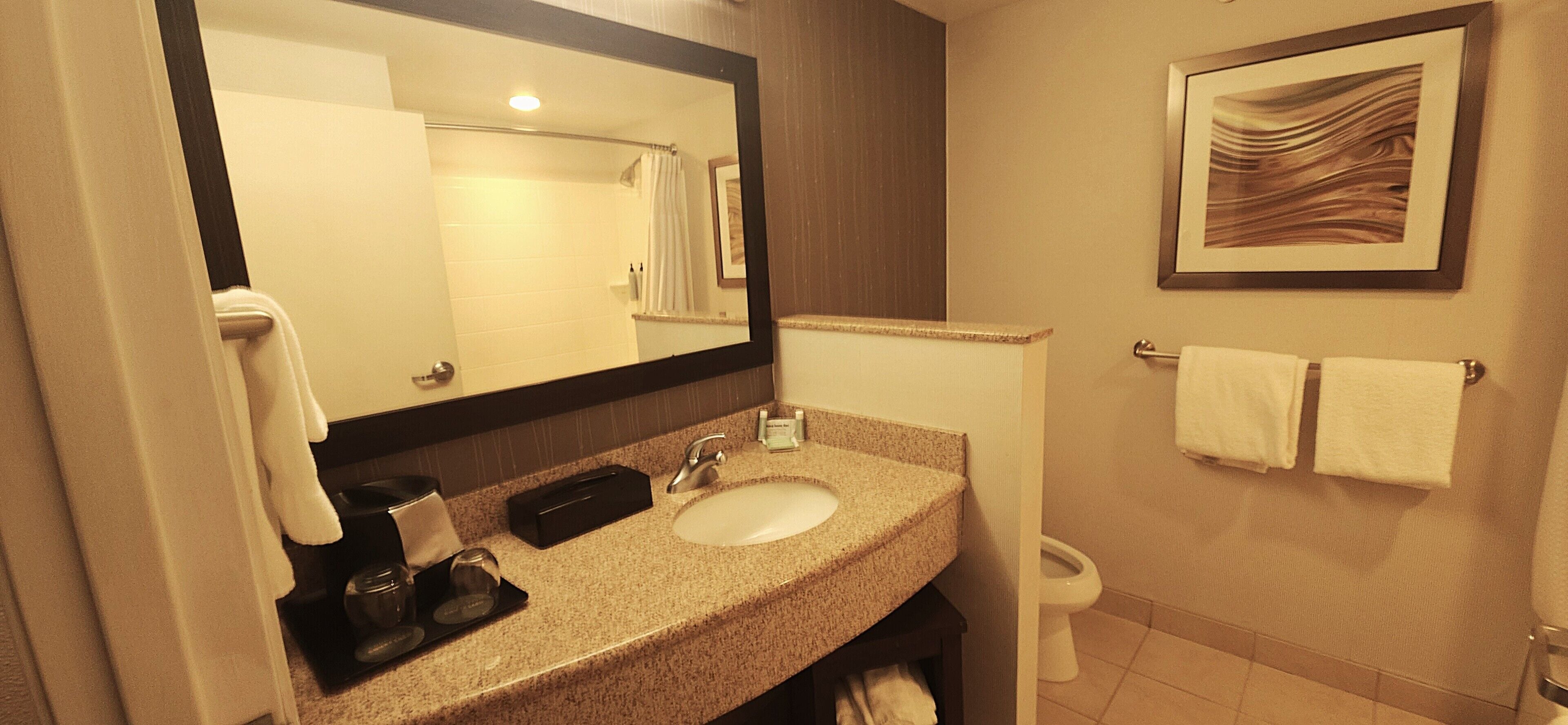 Un baño de hotel con lavamanos, espejo, perchero para toallas y una obra de arte enmarcada en la pared.