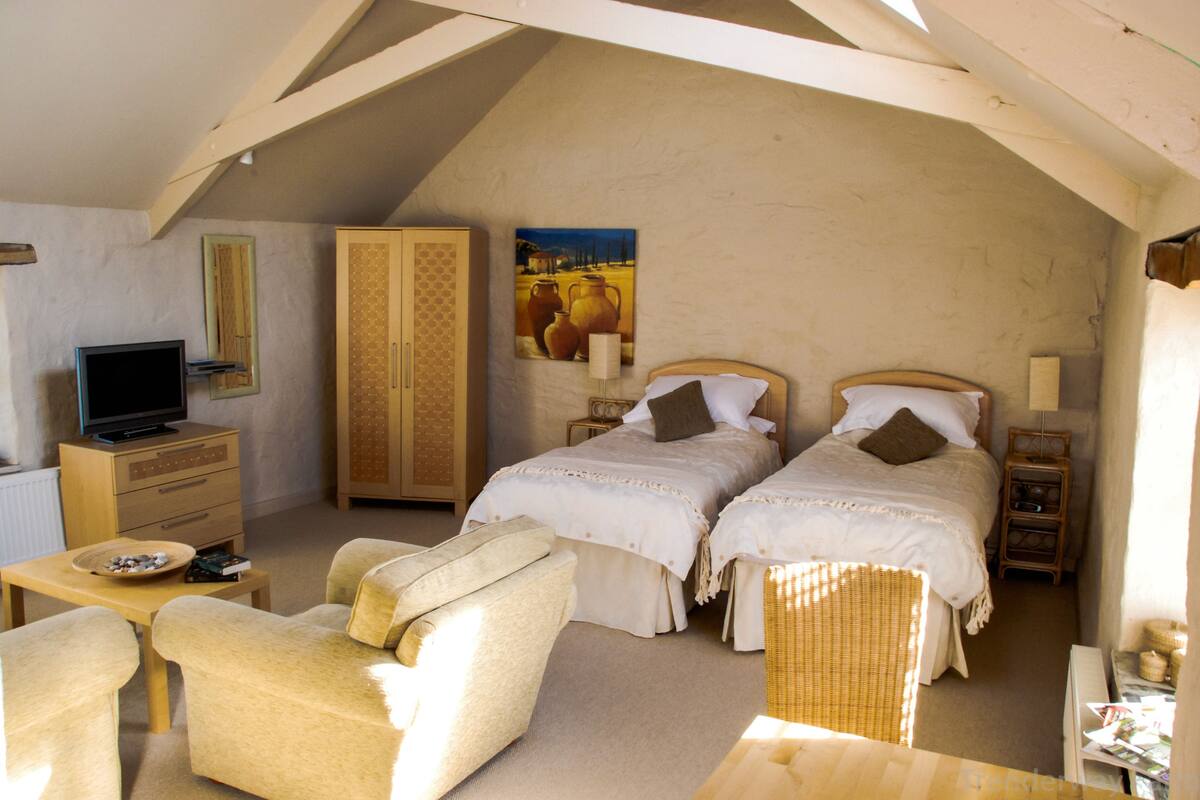 A bedroom with two beds, a television, a wardrobe, and a wicker chair.