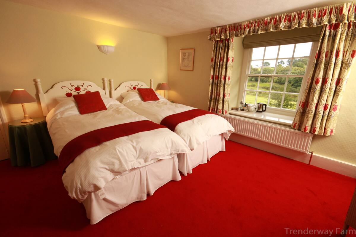 A bedroom with two beds, a red carpet, a window with curtains, and a radiator.