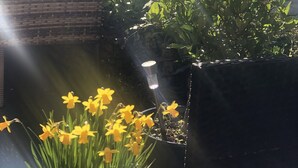 Un jardín con diversas plantas y una luminaria alimentada por energía solar.