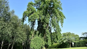 花園