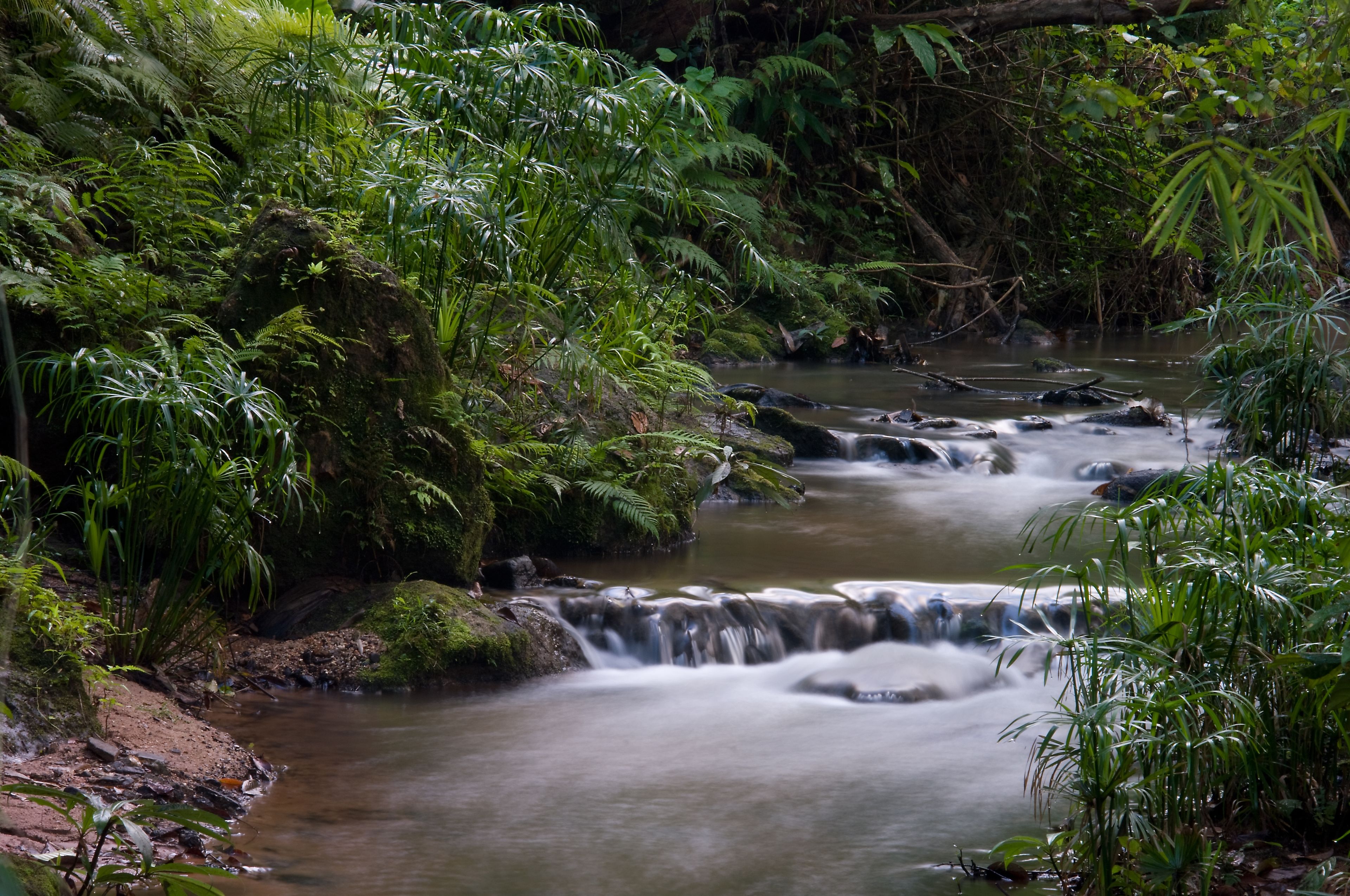 fern hill villa | terrace/patio