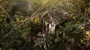 A rustic cabin nestled in a forest, surrounded by dense foliage and a small wooden deck. - Proud Phu Fah Maerim (Mae Rim)