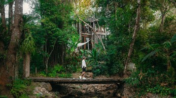 Una persona está de pie sobre un puente de piedra en un bosque frondoso, contemplando una construcción rústica de madera con techo de paja.