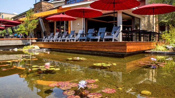 Zona de piscina con sillones de descanso y sombrillas rojas, estanque de peces koi con lirios acuáticos y un edificio de fachada de piedra.