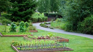 Ein Garten mit erhöhten Beeten, einem Weg und verschiedenen Pflanzen.