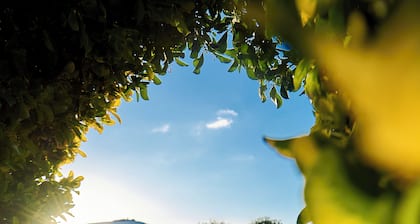 Les Jardins