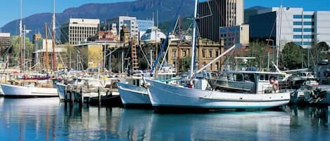 الإطلالة من المنشأة