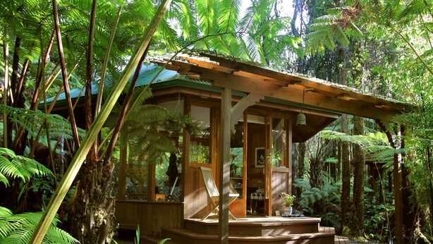 A wooden structure with a covered porch, surrounded by lush greenery and ferns. - Volcano Rainforest Retreat (Volcano)