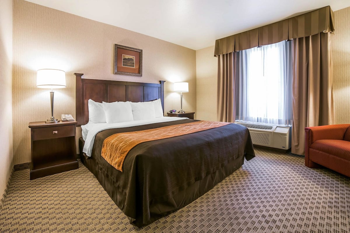 Suite, 1 King Bed with Sofa bed, Non Smoking | Desk, iron/ironing board, free WiFi, bed sheets