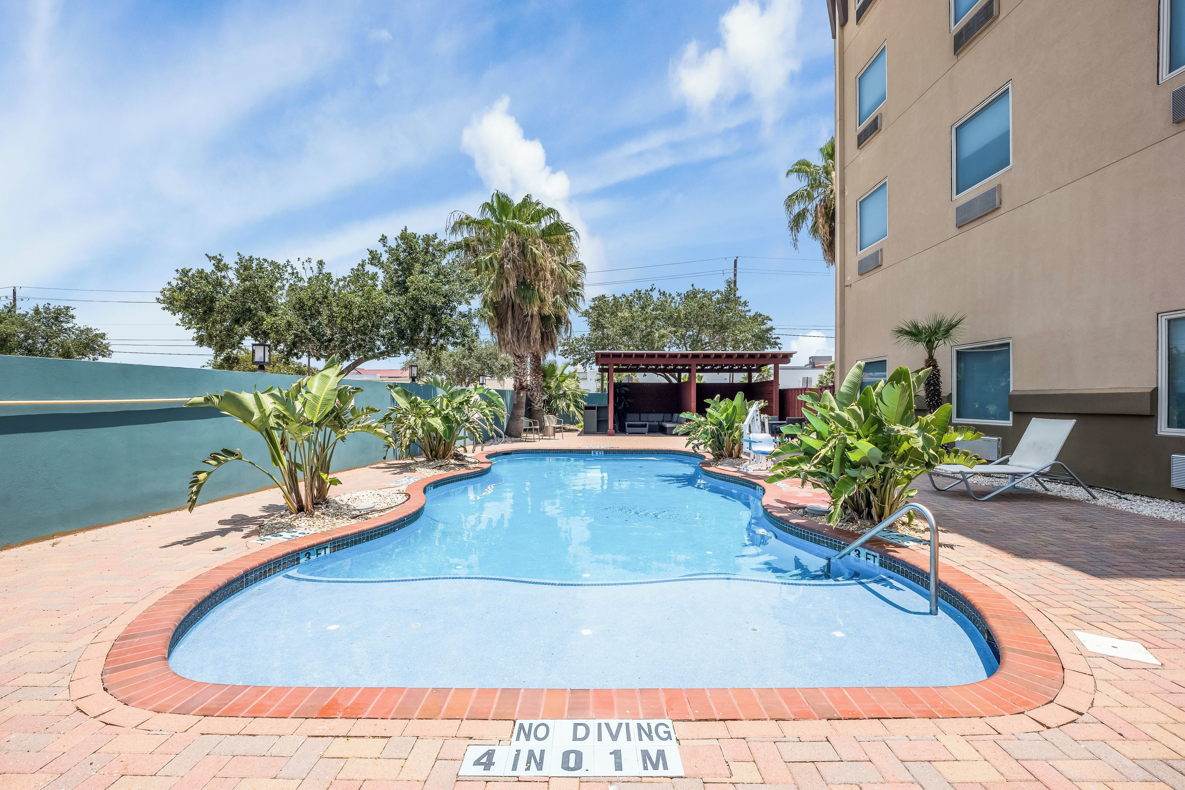 A swimming pool with a no diving sign, surrounded by palm trees and a building with windows.