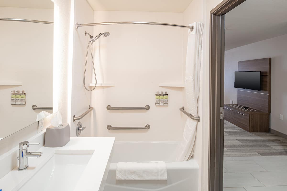 combined shower/bathtub, free toiletries, hair dryer, towels