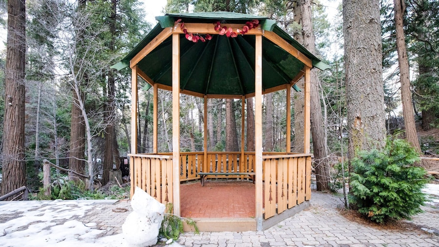 Arrowhead Tree Top Lodge