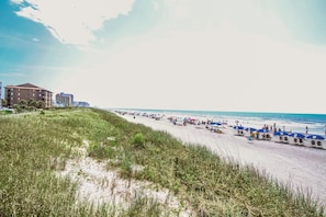 On the beach