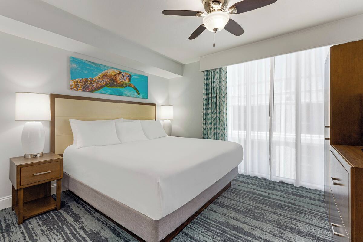 A hotel room with a large bed, two bedside lamps, a ceiling fan, a painting of a sea turtle, and a view of the outdoors through sheer curtains.
