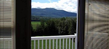 Vista desde una ventana con persianas blancas, con un paisaje verde que incluye árboles y una montaña a lo lejos.