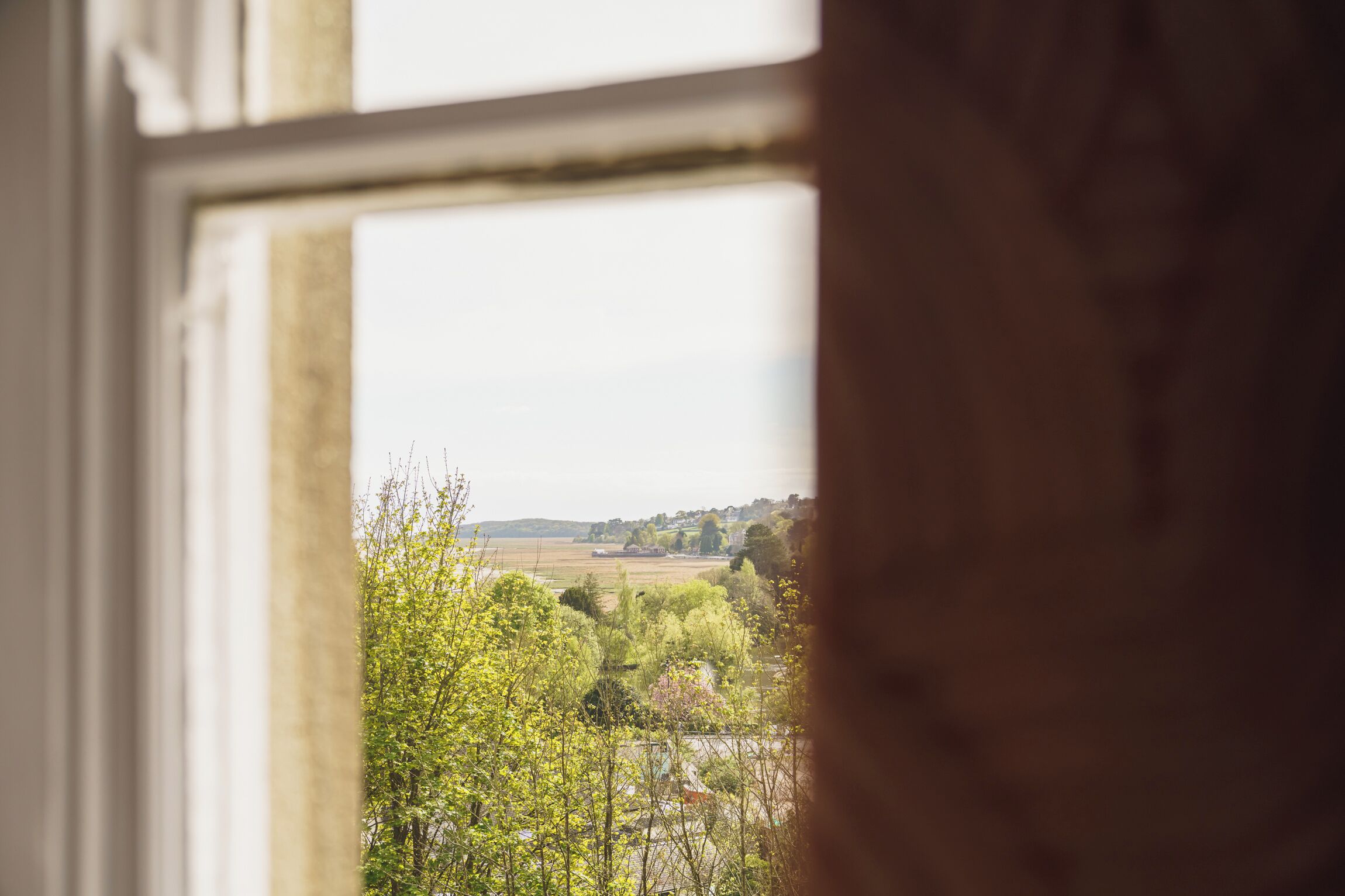 A view through a window with a white frame, revealing a landscape with trees and distant buildings.